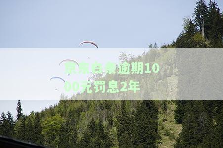 1000逾期一个月利息多少，计算逾期一个月的利息是多少？