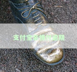 支付宝逾期亲情号付款的影响及处理方法