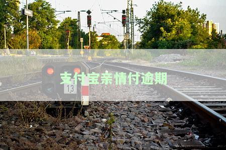 支付宝亲情付逾期-支付宝逾期亲情号付款