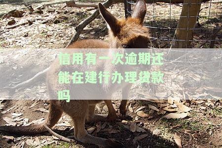 信用有一次逾期还能在建行办理贷款吗，一次信用逾期是否会影响您在建设银行申请贷款？