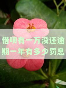 借呗一万逾期一年罚息是多少，了解借呗逾期罚息：欠款一万，逾期一年需要支付多少利息？