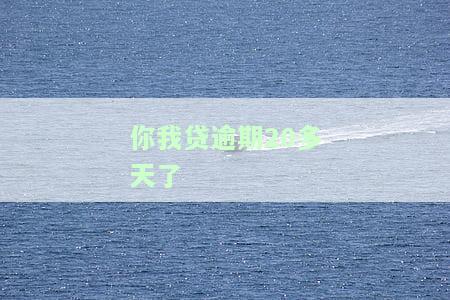 你我贷逾期几个小时，逾期警告：你的你我贷账户已逾期几个小时，请尽快还款