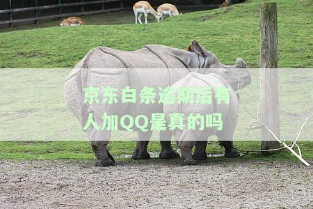 逾期后有人加QQ？真的吗？安全吗？
