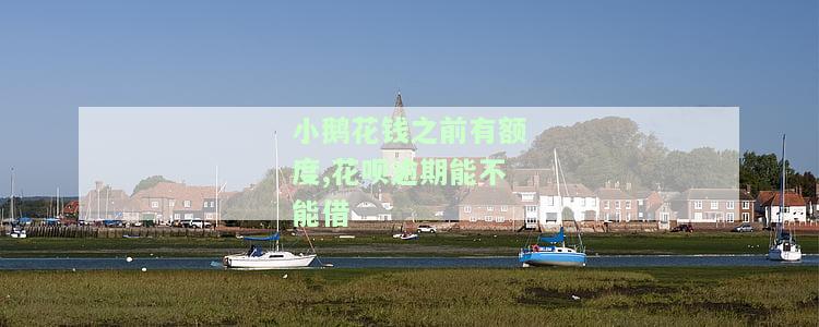 小鹅花钱之前有额度,花呗逾期能不能借
