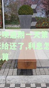 还呗逾期一天有啥影响吗，关于还呗逾期一天的影响，你必须知道的事