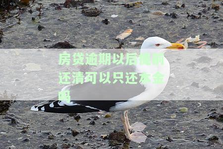 房贷逾期以后提前还清可以只还本金吗-房贷逾期以后提前还清可以只还本金吗