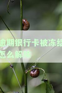 逾期银行卡被冻结了怎么申请解除，如何申请解除因逾期而被冻结的银行卡？