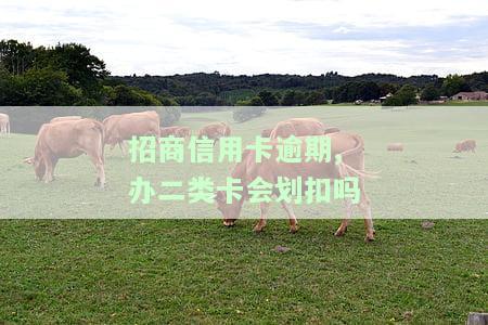 招商信用卡逾期,办二类卡会划扣吗安全吗，招商信用卡逾期，申请二类卡会被划扣吗？安全性如何？