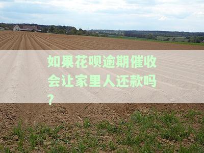 花呗逾期催收会不会上门，花呗逾期催收：是否会有人上门？