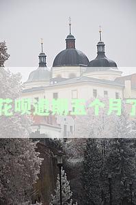 花呗逾期五个月了,会不会找我家里去，花呗逾期五个月，会否影响到家人？
