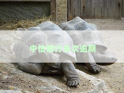 中信银行多次逾期-中信银行多次逾期会怎么样