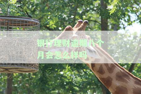 银行理财逾期怎么办？处理逾期还款、解决拿回资金问题、是否可报警解析