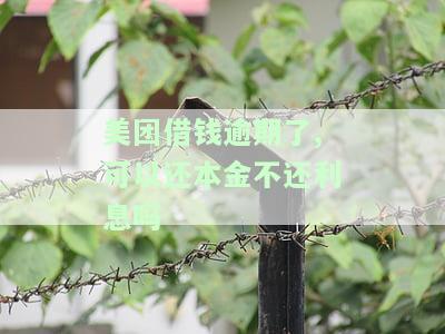 美团借钱逾期后，如何处理？能只还本金不还利息吗？利息计算方式是什么？还能再次借款吗？