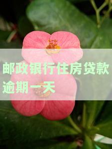 邮政银行住房贷款逾期一天