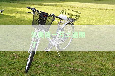 欠美团一万二逾期了会起诉吗，美团催债：欠款一万二逾期未还，是否会遭到法律诉讼？