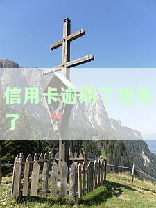 欠信用卡还不上想去死：如何应对信用卡债务危机？