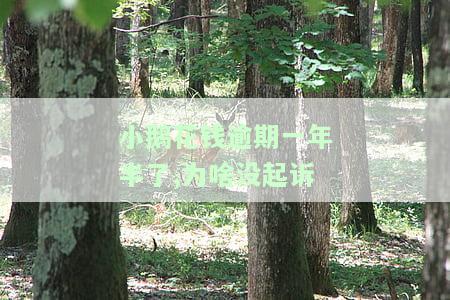 小鹅花钱逾期了6个月了还款后还有额度吗，小鹅花钱逾期6个月，还款后额度是否会恢复？
