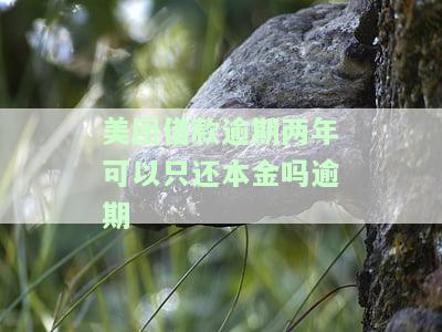 美团借钱逾期还款几天后还可以再借么，美团借钱：逾期还款几天后再借款可行吗？