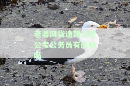 老婆网贷逾期，影响老公考公务员、贷款及车贷？解决方案是什么？