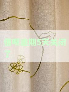 借呗逾期两天被关掉了什么时候可以打开，如何重新开通因逾期两天而关闭的借呗账户？