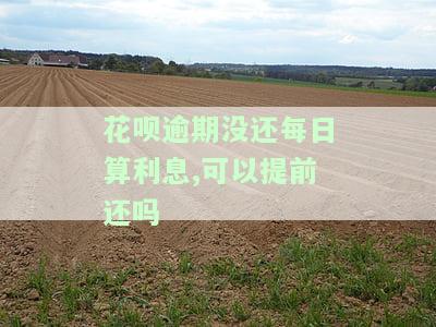 花呗逾期没还每日算利息,可以提前还吗