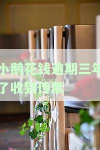 小鹅花钱逾期立案了，小鹅花钱逾期：立案处理，警示借款人注意还款义务
