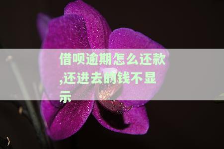 借呗逾期怎么还款,还进去的钱不显示-借呗逾期怎么还款,还进去的钱不显示了