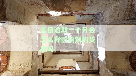 美团逾期一个月会怎么样，逾期一个月的美团账户：可能面临什么后果？