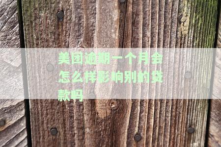 美团欠款逾期一个月：影响及解决办法