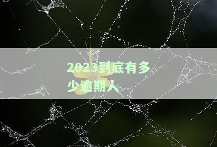 2023到底有多少逾期人