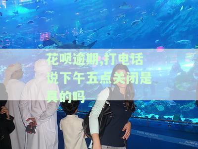 花呗逾期打电话说今天5点之前必须还，否则后果严重