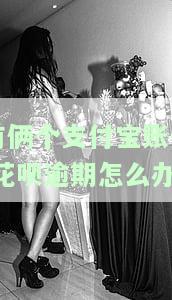 有俩个支付宝账号,花呗逾期怎么办呢，如何处理有两个支付宝账号且其中一个花呗逾期的情况？