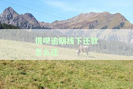 借呗逾期线下还款无法偿还？解决方案全解析！