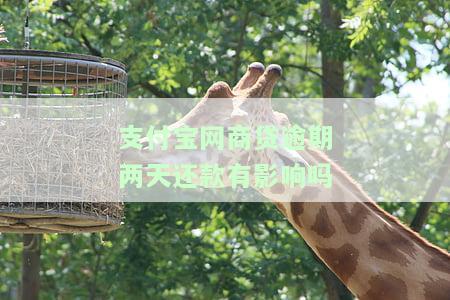 支付宝网商贷逾期两天会影响个人征信吗？