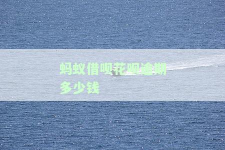 蚂蚁借呗花呗逾期多少钱-蚂蚁借呗花呗逾期多少钱会起诉
