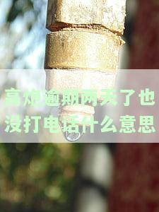 高炮逾期2天一直没催收，高炮贷款逾期2天未被催收，借款人应如何应对？