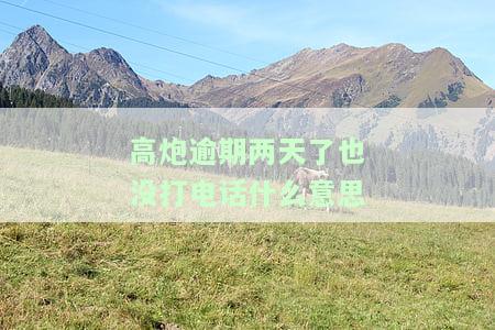 高炮逾期一天会怎么样，警惕高炮贷款：逾期一天可能带来的严重后果