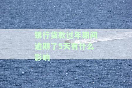 银行贷款过年期间逾期5天的影响及解决办法