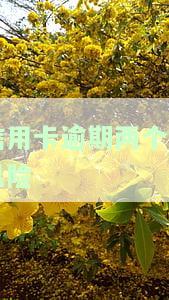欠信用卡逾期2个月，信用卡逾期两个月，你该怎么做？