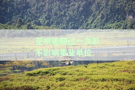 花呗逾期会影响事业单位政审吗？影响事业编招聘、报销及公务员录用吗？