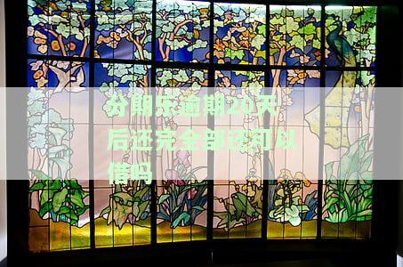 分期乐逾期20天会否上征信？影响及解决办法全解析