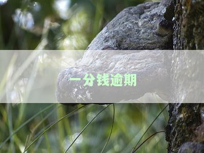 一分钱逾期