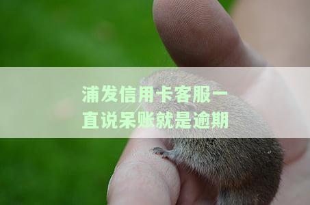 浦发逾期了客服打电话说还进去还可以刷出来，但逾期四天将被要求全额还款否则可能被封卡；逾期三个月以上可能会有上门催收的风险。同时，对于最低还款额的争议，建议直接咨询浦发客服以获得准确信息。请注意，逾期行为可能导致信用记录受损，影响未来的贷款申请等业务。