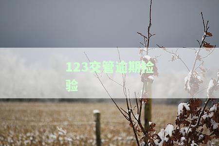 12123逾期检验申领免检：如何在交管12123上处理逾期免检申请？