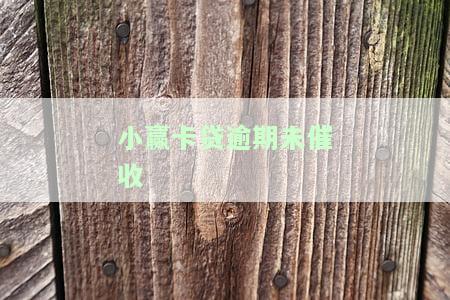 小赢卡贷停止催收：原因、影响及应对策略