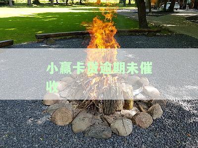小赢卡贷逾期未催收