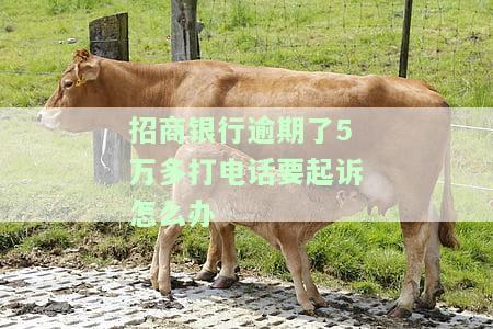 招商银行逾期了5万多打电话要起诉怎么办呢，如何应对招商银行逾期5万多被威胁起诉的情况？