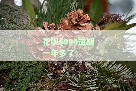 花呗逾期1年多，警示：花呗逾期一年以上，可能面临严重后果！