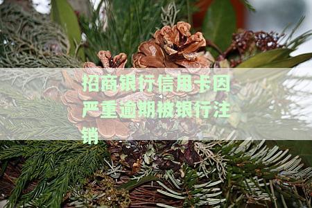 招商银行信用卡因严重逾期被银行注销怎么办，信用卡严重逾期导致招商银行注销，如何处理？