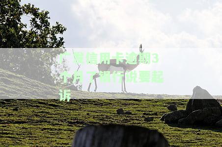 发银行逾期三个月：全额还款还是最低？影响严重吗？该如何处理？